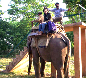 Elephant Safari